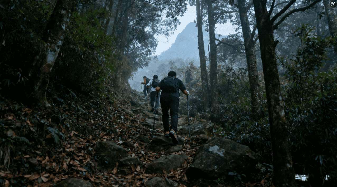选择优质买加速器ins，打造更稳定的内容传播平台